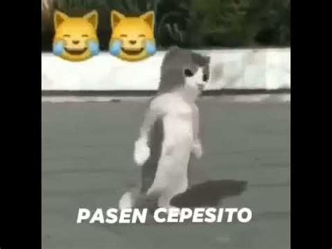 @CepesitoEl .